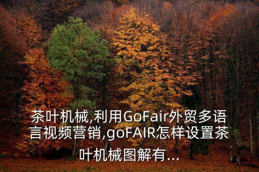茶葉機械,利用GoFair外貿(mào)多語言視頻營銷,goFAIR怎樣設(shè)置茶葉機械圖解有...
