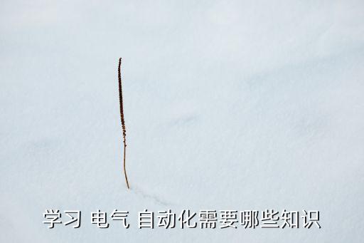 學(xué)習(xí) 電氣 自動(dòng)化需要哪些知識(shí)