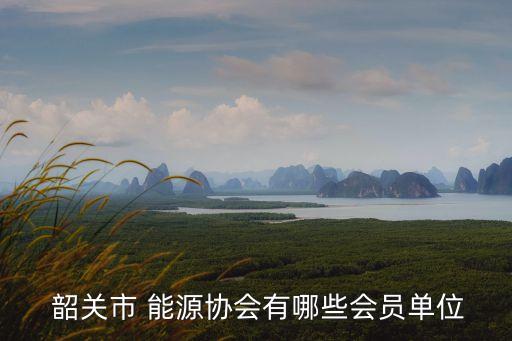  韶關(guān)市 能源協(xié)會有哪些會員單位