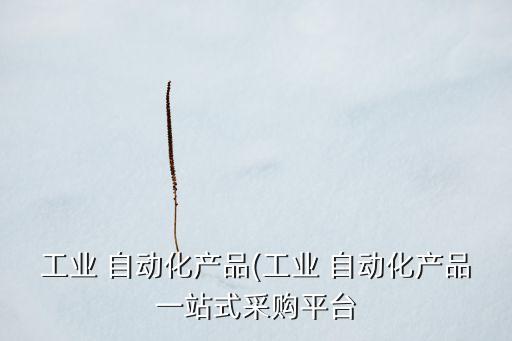 工業(yè) 自動化產(chǎn)品(工業(yè) 自動化產(chǎn)品一站式采購平臺
