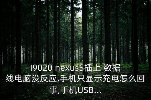 I9020 nexusS插上 數(shù)據(jù)線電腦沒反應(yīng),手機只顯示充電怎么回事,手機USB...