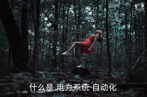 什么是 電力系統(tǒng) 自動(dòng)化