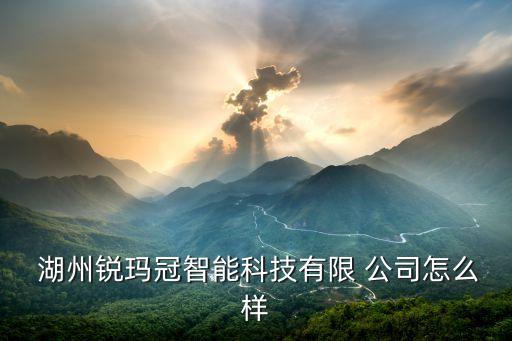  湖州銳瑪冠智能科技有限 公司怎么樣