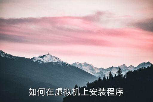 如何在虛擬機(jī)上安裝程序