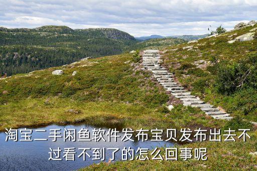 淘寶二手閑魚軟件發(fā)布寶貝發(fā)布出去不過看不到了的怎么回事呢