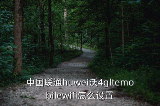中國聯(lián)通huwei沃4gltemobilewifi怎么設(shè)置