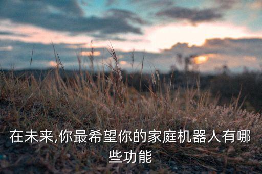 在未來(lái),你最希望你的家庭機(jī)器人有哪些功能