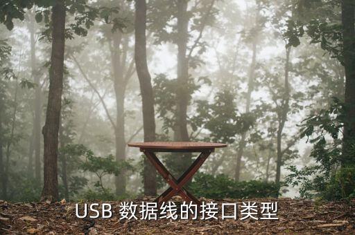 USB 數(shù)據(jù)線的接口類型