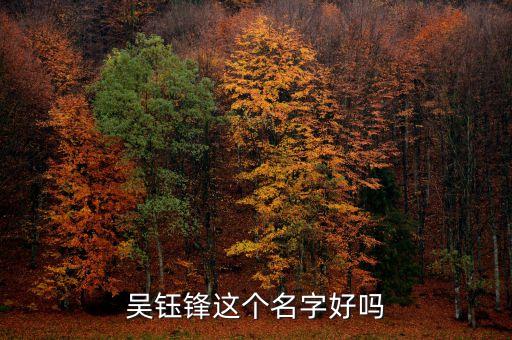 吳鈺鋒這個名字好嗎