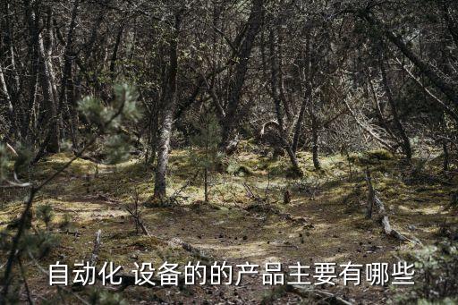  自動(dòng)化 設(shè)備的的產(chǎn)品主要有哪些