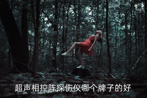 自動化超聲探傷設備廠家,超聲波清洗設備有限公司怎么樣?
