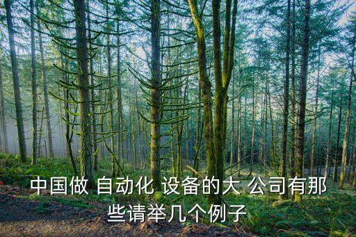 中國做 自動化 設備的大 公司有那些請舉幾個例子