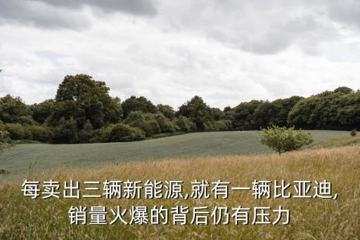 中國能源最新數(shù)據(jù),中國能源需求激增多依靠外部輸血