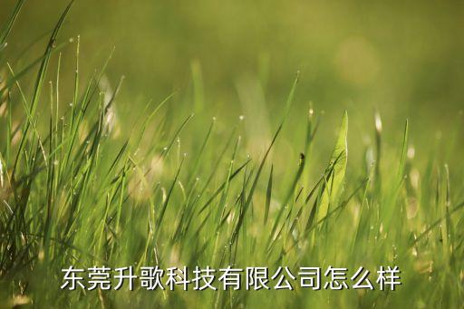 東莞升歌科技有限公司怎么樣