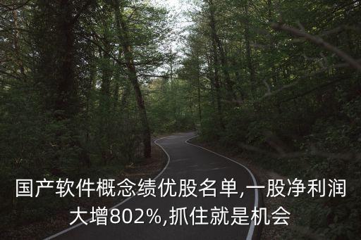 國產(chǎn)軟件概念績優(yōu)股名單,一股凈利潤大增802%,抓住就是機會