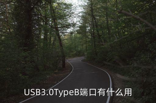 USB3.0TypeB端口有什么用