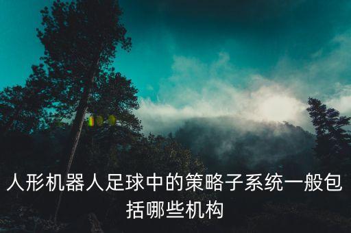 人形機(jī)器人足球中的策略子系統(tǒng)一般包括哪些機(jī)構(gòu)