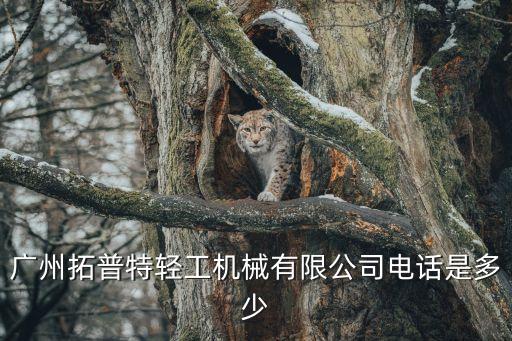 廣州拓普特輕工機(jī)械有限公司電話(huà)是多少