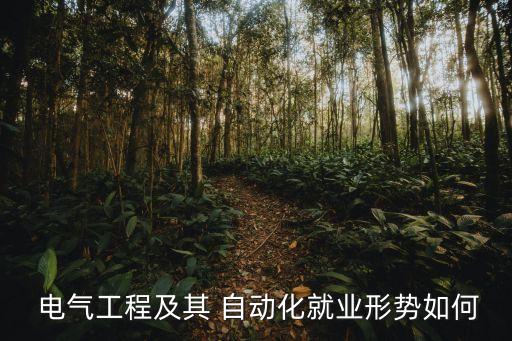  電氣工程及其 自動化就業(yè)形勢如何