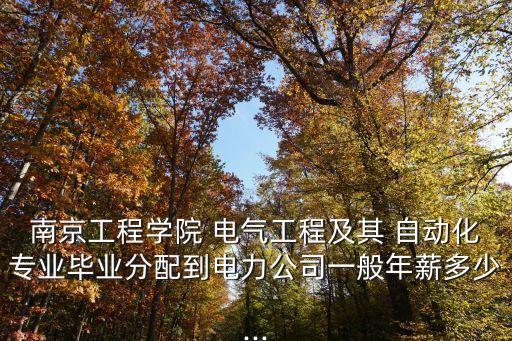 南京工程學(xué)院 電氣工程及其 自動(dòng)化專業(yè)畢業(yè)分配到電力公司一般年薪多少...
