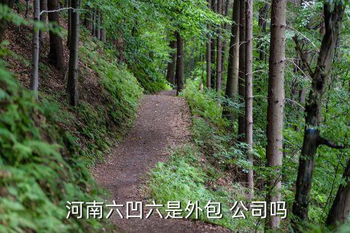  河南六凹六是外包 公司嗎