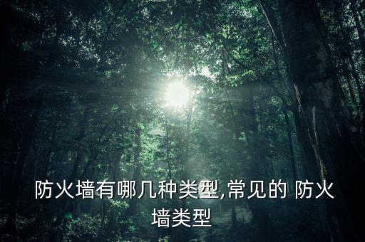 數(shù)據(jù)庫防火墻,美創(chuàng)數(shù)據(jù)庫防火墻