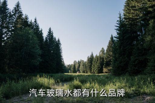 速特自動(dòng)化有限公司,思高特自動(dòng)化設(shè)備(青島)有限公司