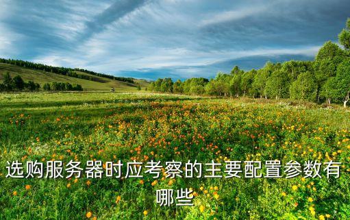選購服務(wù)器時應(yīng)考察的主要配置參數(shù)有哪些