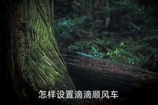 怎樣設(shè)置滴滴順風(fēng)車