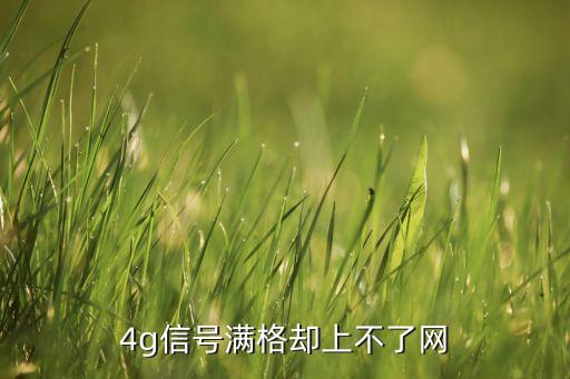 手機(jī)打數(shù)據(jù)上不了網(wǎng),手機(jī)有4g網(wǎng)但上不了網(wǎng)怎么回事?