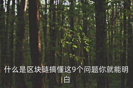 什么是區(qū)塊鏈大數(shù)據(jù),區(qū)塊鏈和大數(shù)據(jù)之間的關(guān)系