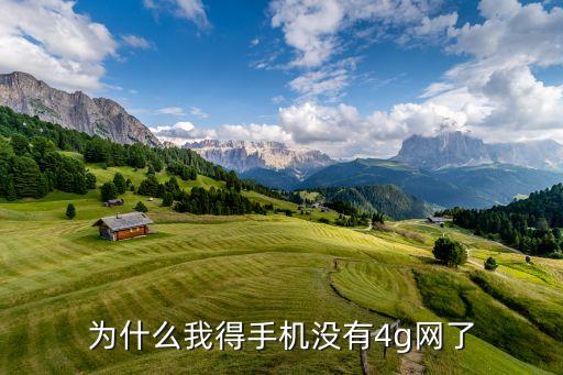 聯(lián)通4g沒有數(shù)據(jù)網(wǎng)絡(luò)設(shè)置密碼,怎么設(shè)置4g網(wǎng)絡(luò)?