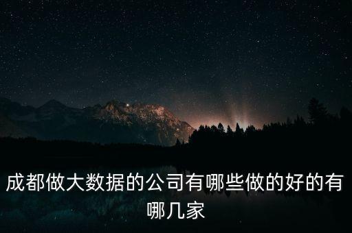 成都做大數(shù)據(jù)的公司有哪些做的好的有哪幾家