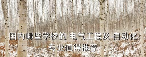 國(guó)內(nèi)哪些學(xué)校的 電氣工程及 自動(dòng)化專業(yè)值得推薦