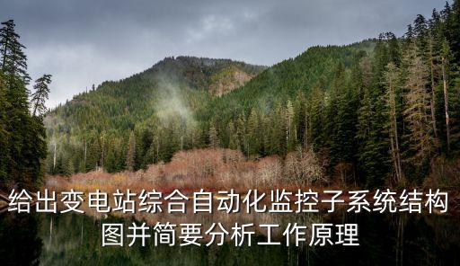 給出變電站綜合自動化監(jiān)控子系統結構圖并簡要分析工作原理