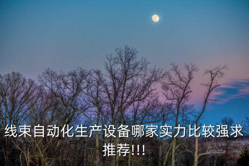線束自動(dòng)化生產(chǎn)設(shè)備哪家實(shí)力比較強(qiáng)求推薦!!!