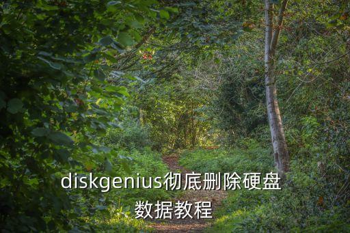 清除磁盤(pán)數(shù)據(jù),diskgenius清除磁盤(pán)數(shù)據(jù)