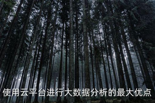 使用云平臺(tái)進(jìn)行大數(shù)據(jù)分析的最大優(yōu)點(diǎn)
