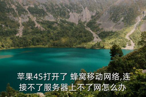  蘋果4S打開了 蜂窩移動網(wǎng)絡(luò),連接不了服務(wù)器上不了網(wǎng)怎么辦
