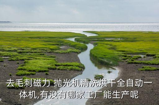去毛刺磁力 拋光機(jī)清洗烘干全自動(dòng)一體機(jī),有沒(méi)有哪家工廠能生產(chǎn)呢