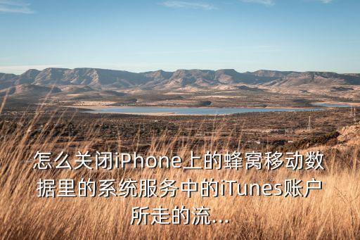 怎么關(guān)閉iPhone上的蜂窩移動數(shù)據(jù)里的系統(tǒng)服務(wù)中的iTunes賬戶所走的流...