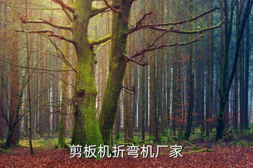 自動化鑄鋼設(shè)備,可以熔煉鑄鋼的設(shè)備有( )