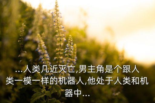 ...人類(lèi)幾近滅亡,男主角是個(gè)跟人類(lèi)一模一樣的機(jī)器人,他處于人類(lèi)和機(jī)器中...