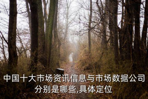 中國十大市場資訊信息與市場數(shù)據(jù)公司分別是哪些,具體定位