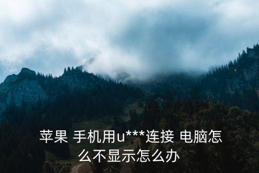 蘋果手機數(shù)據(jù)線連不上電腦