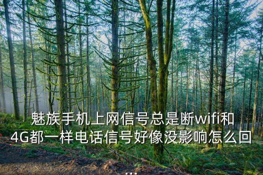  魅族手機(jī)上網(wǎng)信號(hào)總是斷wifi和4G都一樣電話信號(hào)好像沒(méi)影響怎么回...