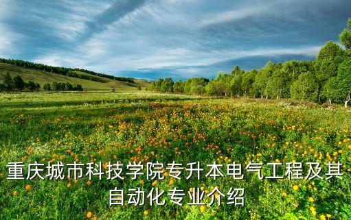 重慶城市科技學(xué)院專升本電氣工程及其自動(dòng)化專業(yè)介紹