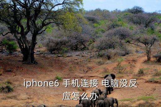 iphone6 手機(jī)連接 電腦沒反應(yīng)怎么辦