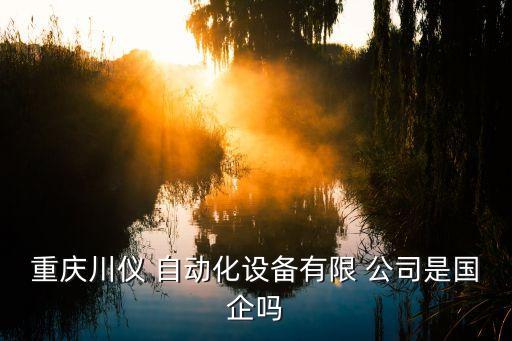 重慶川儀 自動(dòng)化設(shè)備有限 公司是國企嗎