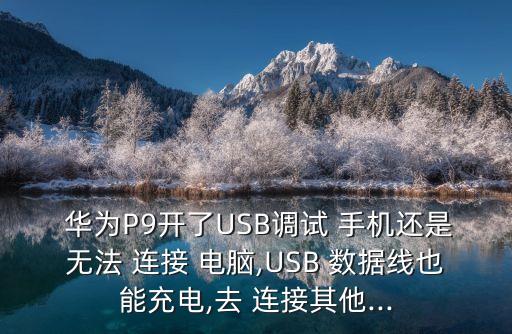 華為手機移動數(shù)據(jù)無法連接電腦